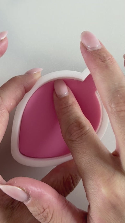 Australian animals christmas cookie stamps 