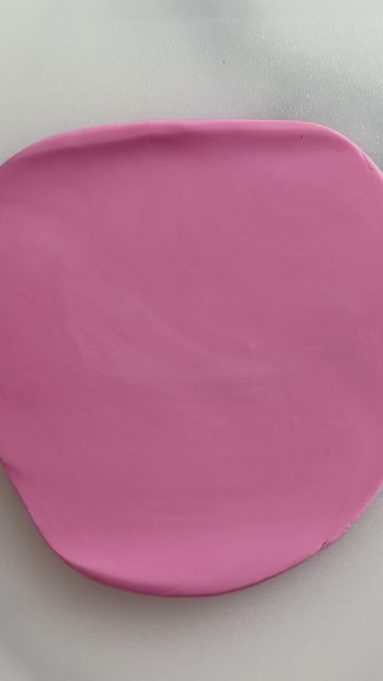 Aussie Christmas Vibes Mini Cookie Stamp & Cutter Set