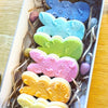 pack of easter themed cookies decorated with fondant debosser